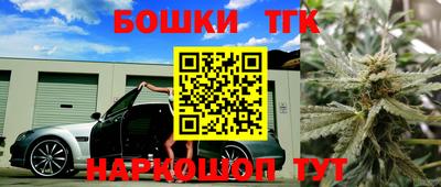 шишки Кинель