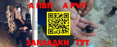 a pvp Кингисепп