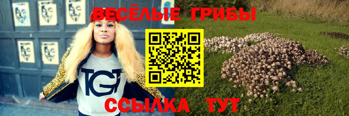 Галлюциногенные грибы Psilocybine cubensis Кропоткин
